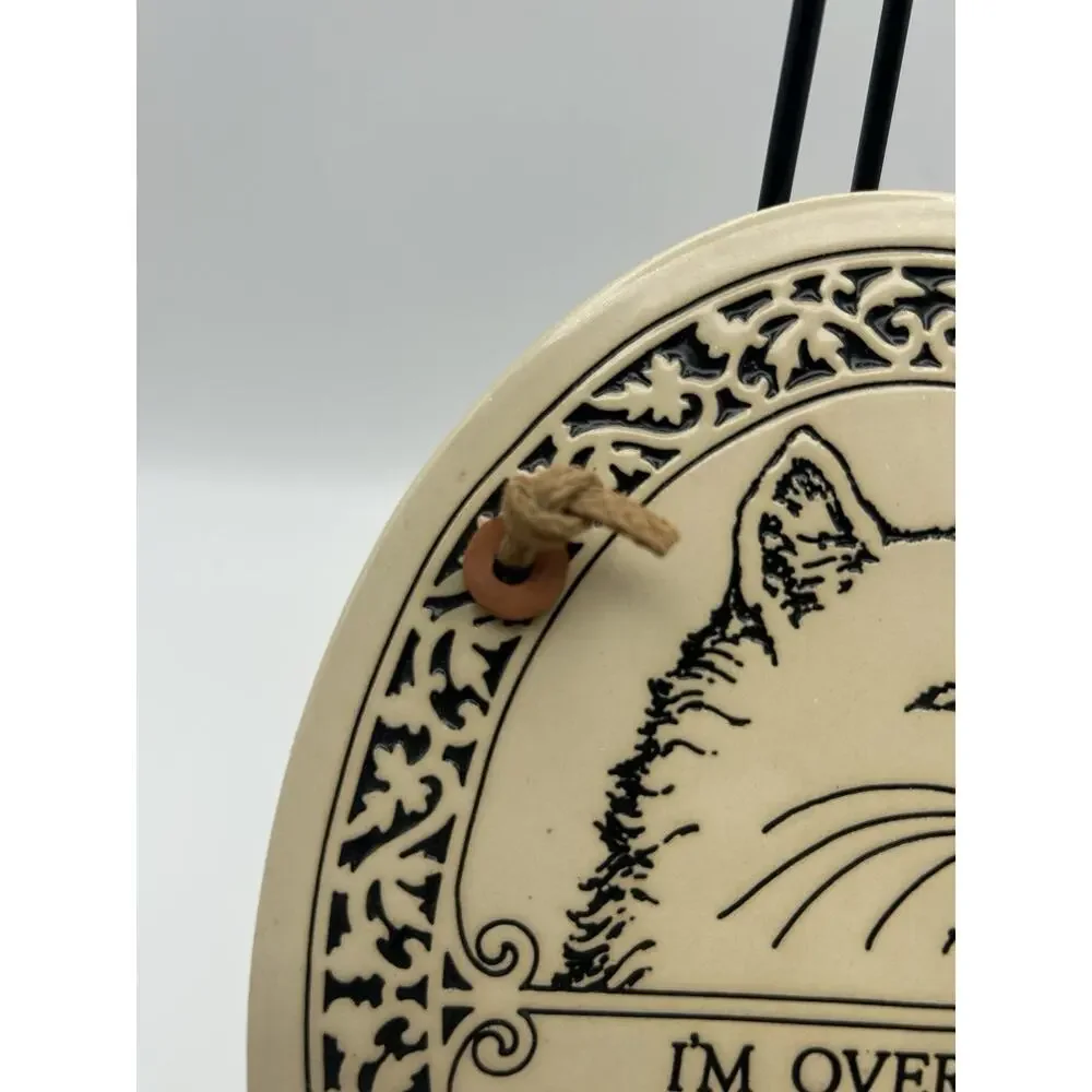 Vintage Ceramic Smart Mouth Cat Wall Plaque.